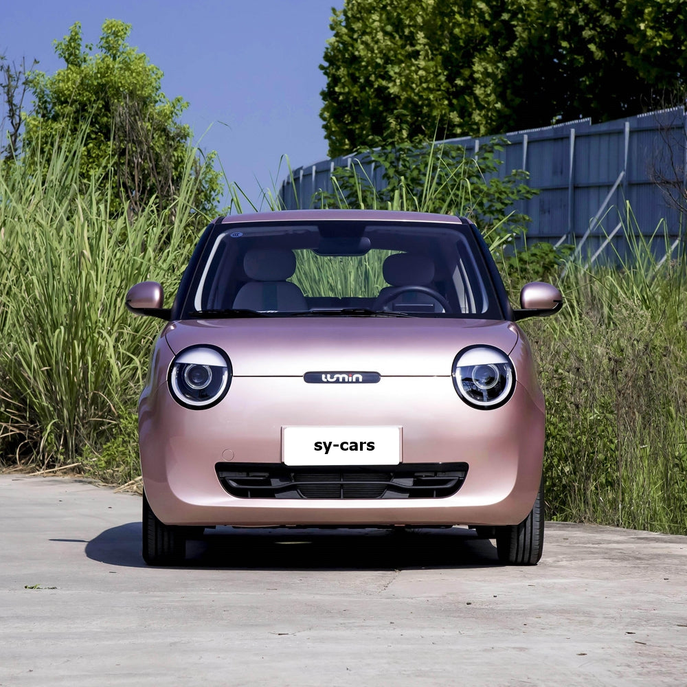 Changan Auto Lumin EV BEV CLTC 205km 301km Micro Sedan New Energy Car Made in China