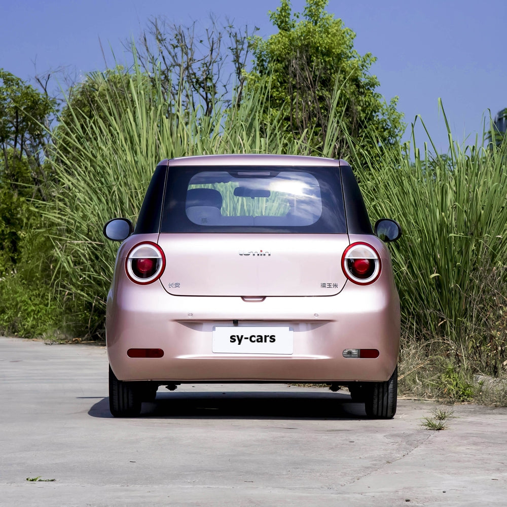 Changan Auto Lumin EV BEV CLTC 205km 301km Micro Sedan New Energy Car Made in China