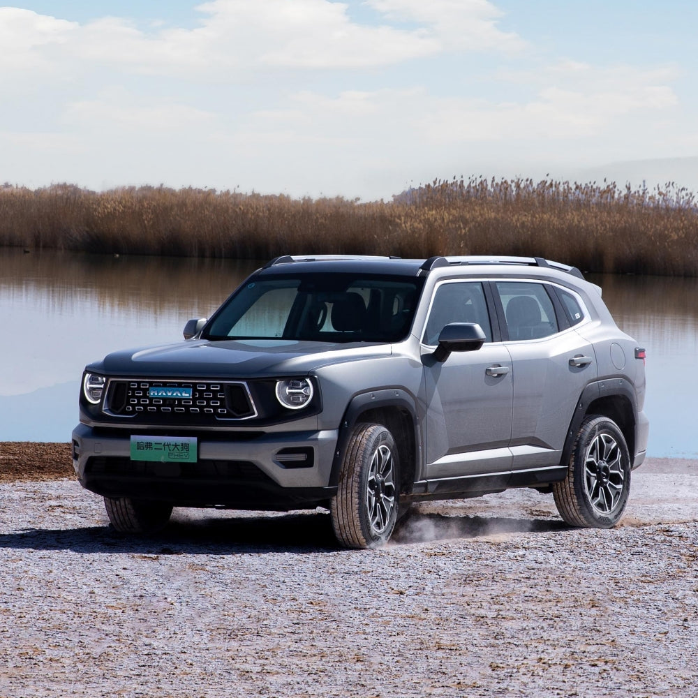 Great Wall Motor GWM Haval 2nd Generation Dago PHEV 2023 2024 Plug-in Hybrid Electric Vehicle Medium SUV New Energy Car Made in China