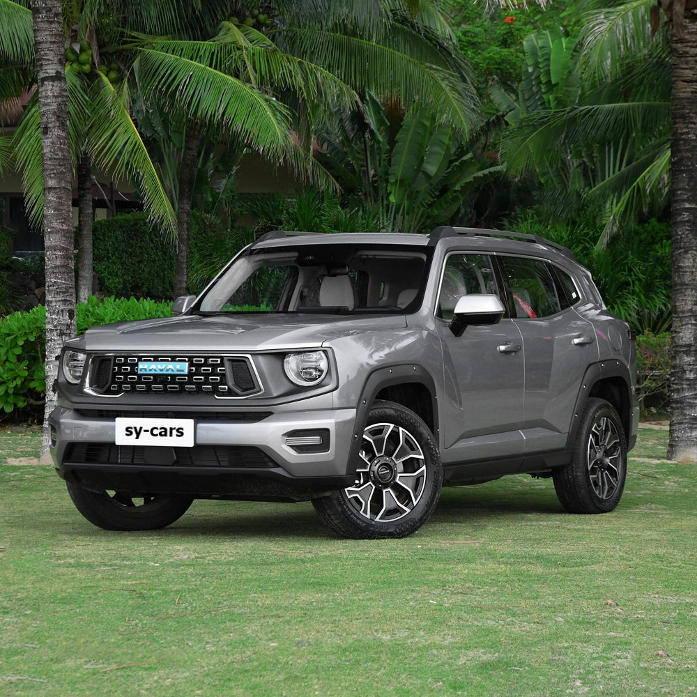 Great Wall Motor GWM Haval 2nd Generation Dago PHEV 2023 2024 Plug-in Hybrid Electric Vehicle Medium SUV New Energy Car Made in China