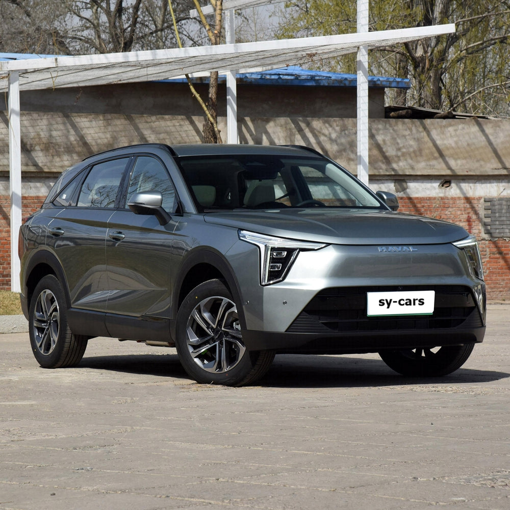 Great Wall Motor GWM Haval Fierce Dragon PHEV 2023 Plug-in Hybrid Electric Vehicle Compact SUV New Energy Car Made in China