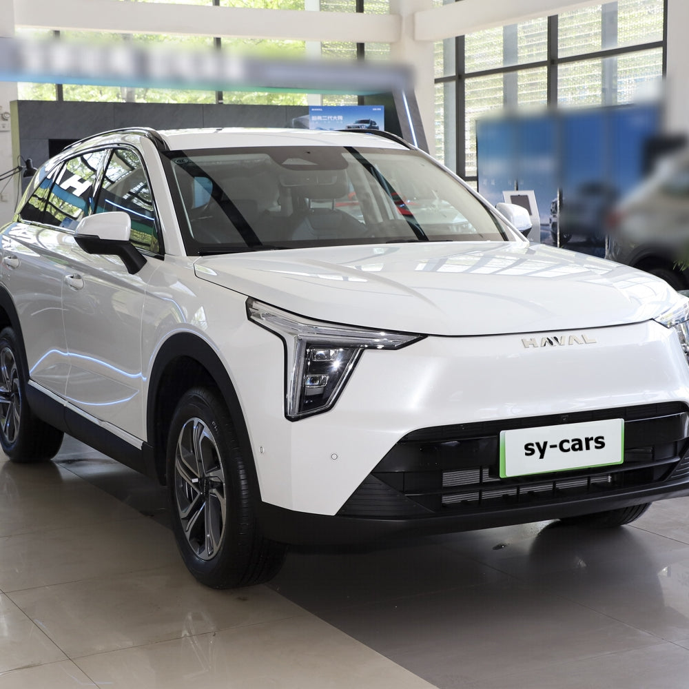 Great Wall Motor GWM Haval Fierce Dragon PHEV 2023 Plug-in Hybrid Electric Vehicle Compact SUV New Energy Car Made in China