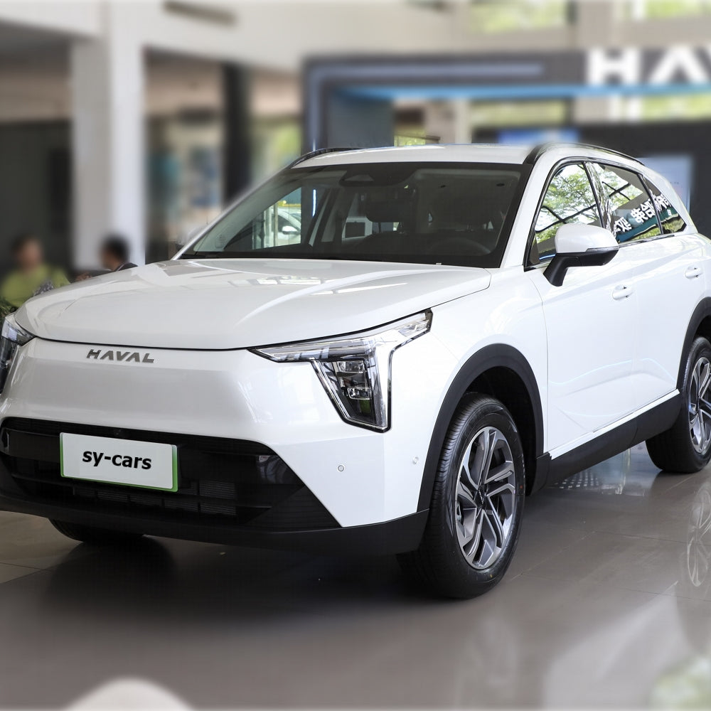 Great Wall Motor GWM Haval Fierce Dragon PHEV 2023 Plug-in Hybrid Electric Vehicle Compact SUV New Energy Car Made in China