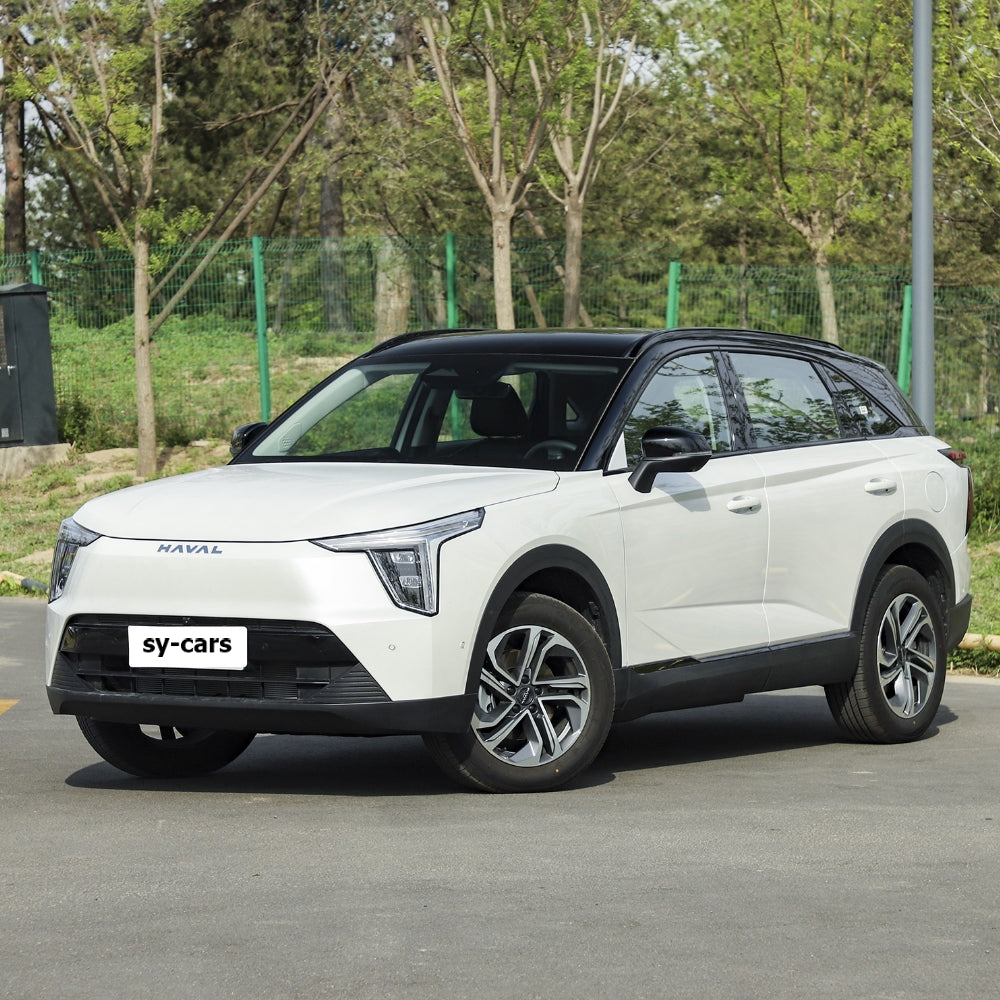 Great Wall Motor GWM Haval Fierce Dragon PHEV 2023 Plug-in Hybrid Electric Vehicle Compact SUV New Energy Car Made in China