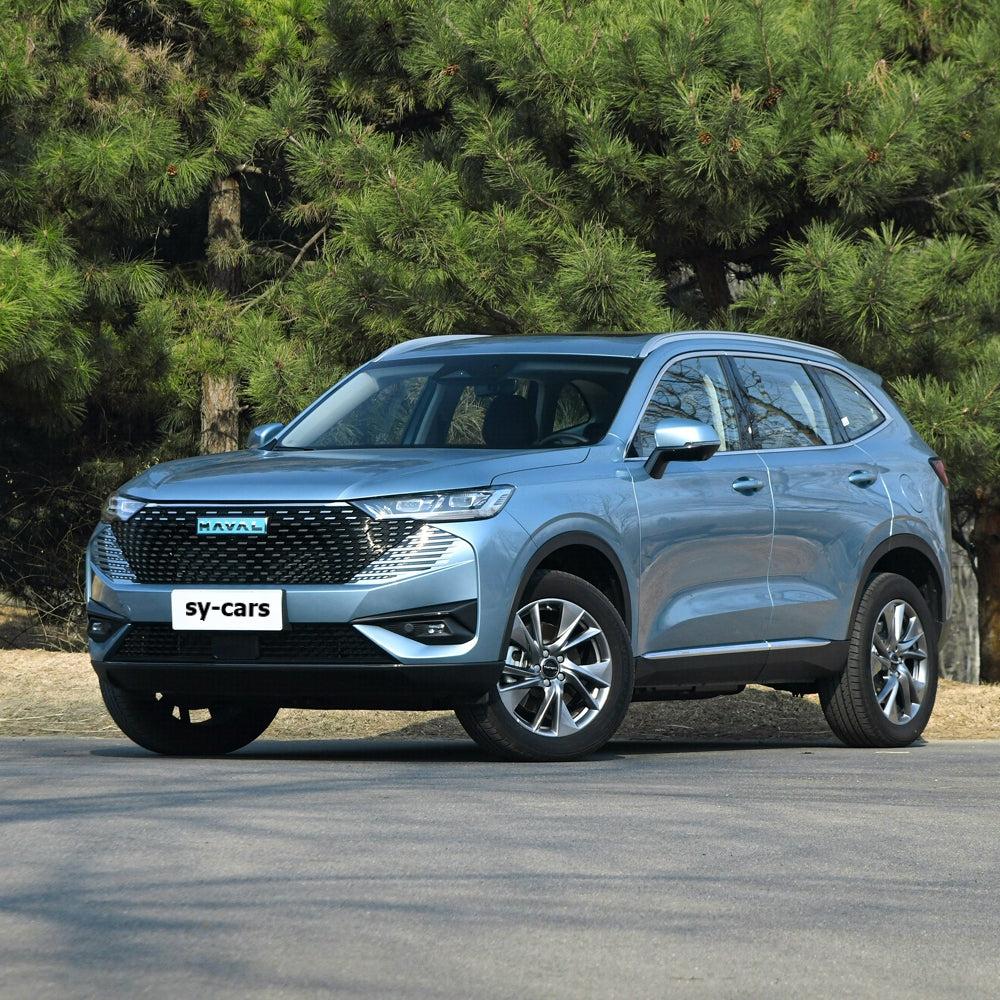 Great Wall Motor GWM Haval H6 New Energy Vehicle 2023 Models PHEV Plug in Hybrid Car Compact SUV Made in China
