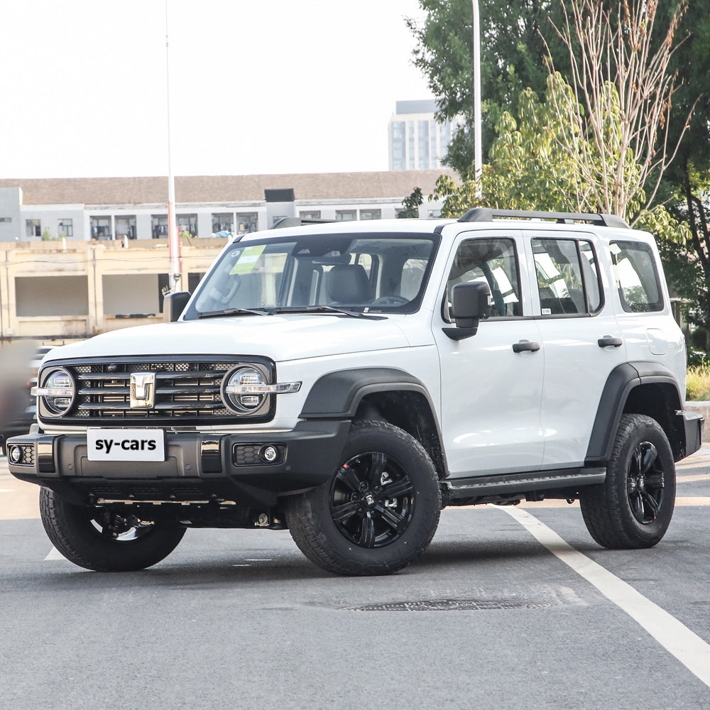 Great Wall Motor GWM Tank 300 2024 Models 2.0T 330 3.0T V6 Gasoline Vehicle Compact SUV 4x4 High Quality Made in China