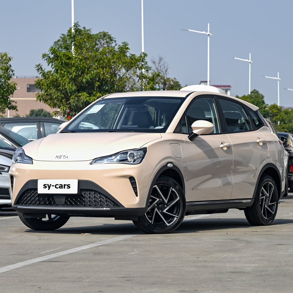 Hozon Neta AYA Pure Electric Car EV BEV CLTC 401km 318km Small SUV 5 Seats 2 Wheeler Vehicle Made in China