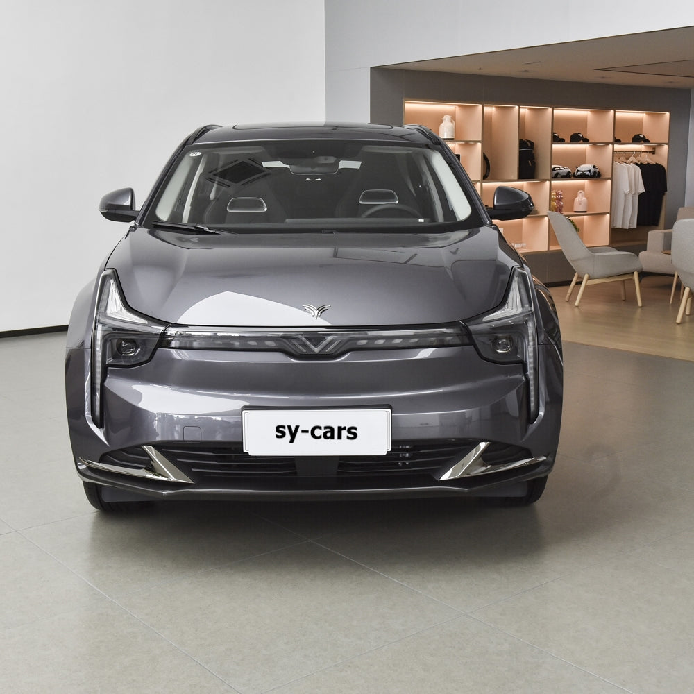 Hozon Neta U-II Challenge Edition 400 and 500 Pure Electric Car EV BEV CLTC 400km 500km Compact SUV 5 Seats Vehicle