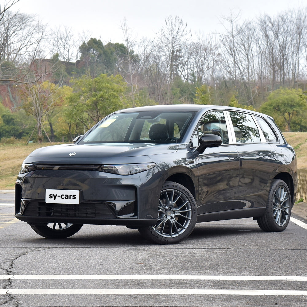 Leapmotor C10 EV BEV REEV 2024 Pure Electric Extended Range Electric Vehicle Mid-Size SUV 1.5L 5 Seaters China VI Made in China