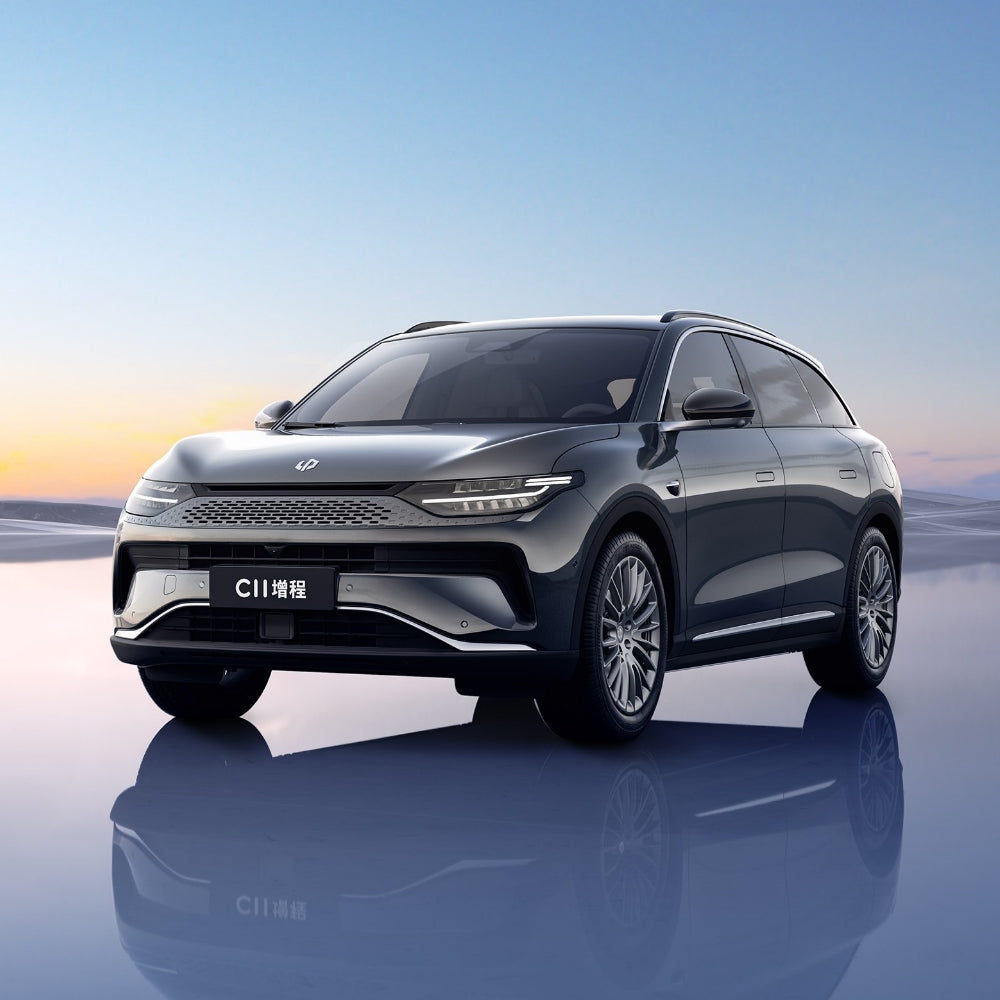 Leapmotor C11 EV BEV REEV 2024 Pure Electric Extended Range Electric Vehicle Mid-Size SUV 5 Seaters China VI Made in China