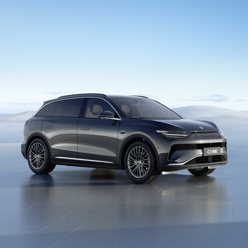 Leapmotor C11 EV BEV REEV 2024 Pure Electric Extended Range Electric Vehicle Mid-Size SUV 5 Seaters China VI Made in China