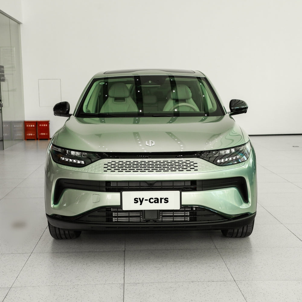 Leapmotor C11 EV BEV REEV 2024 Pure Electric Extended Range Electric Vehicle Mid-Size SUV 5 Seaters China VI Made in China