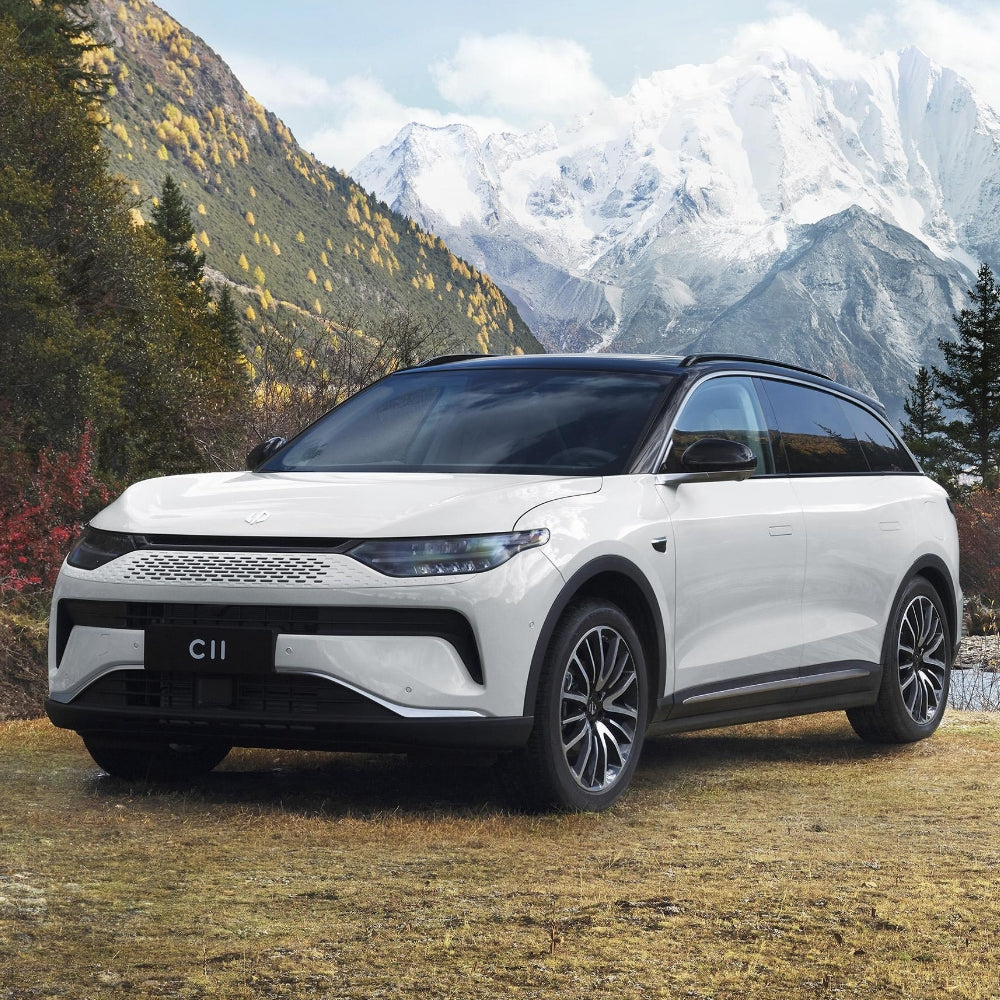 Leapmotor C11 EV BEV REEV 2024 Pure Electric Extended Range Electric Vehicle Mid-Size SUV 5 Seaters China VI Made in China