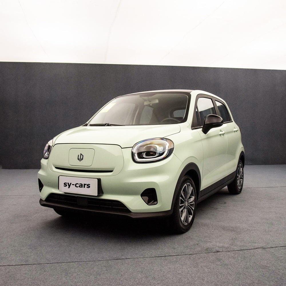 Leapmotor T03 EV BEV 2024 Pure Electric Vehicle CLTC 200km 310km 403km Micro Sedan 4 Seaters Made in China