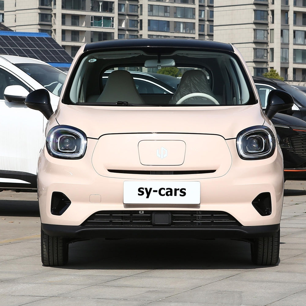 Leapmotor T03 EV BEV 2024 Pure Electric Vehicle CLTC 200km 310km 403km Micro Sedan 4 Seaters Made in China