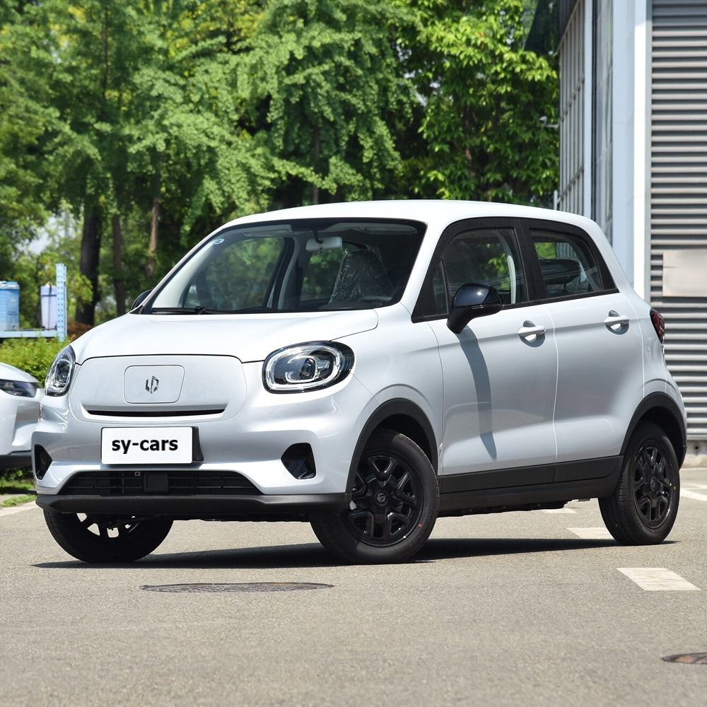 Leapmotor T03 EV BEV 2024 Pure Electric Vehicle CLTC 200km 310km 403km Micro Sedan 4 Seaters Made in China