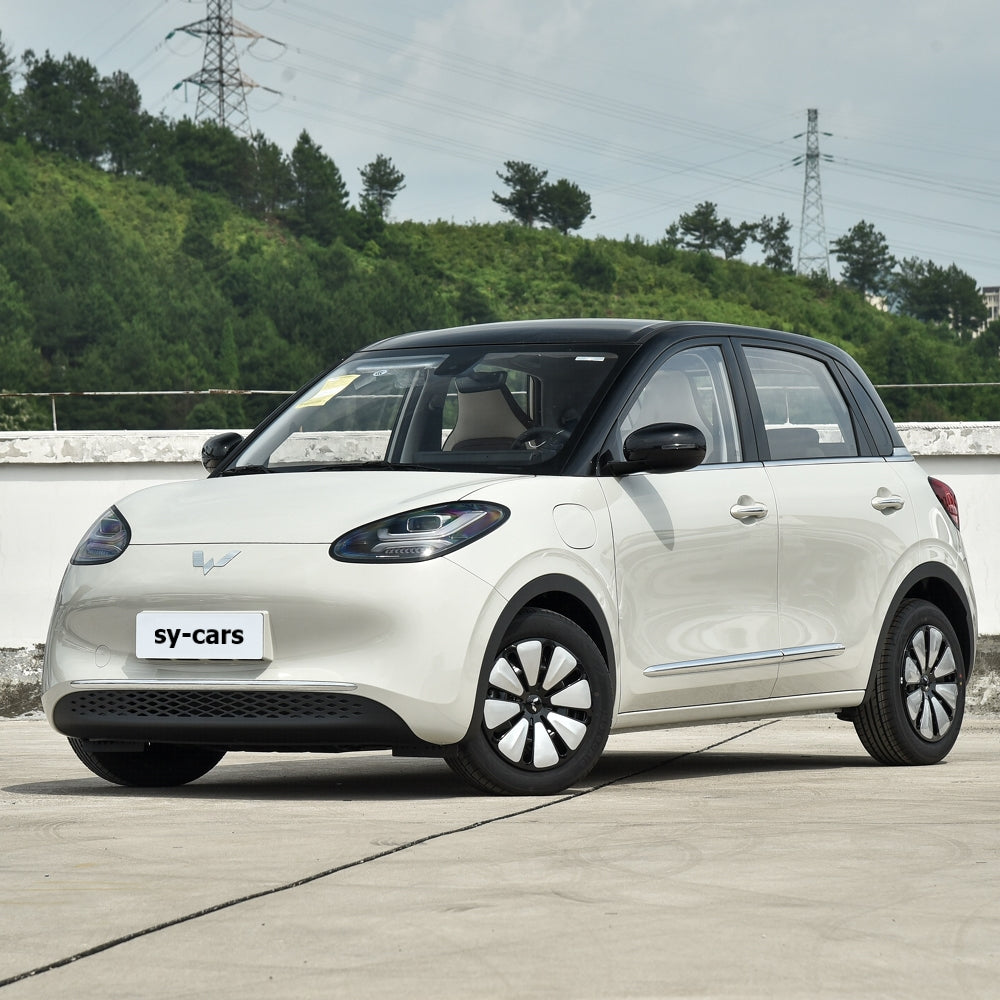 SAIC GM Wuling Bingguo EV BEV CLTC 410km Pure Electric Vehicle Small Sedan 4 Seaters FWD Made in China