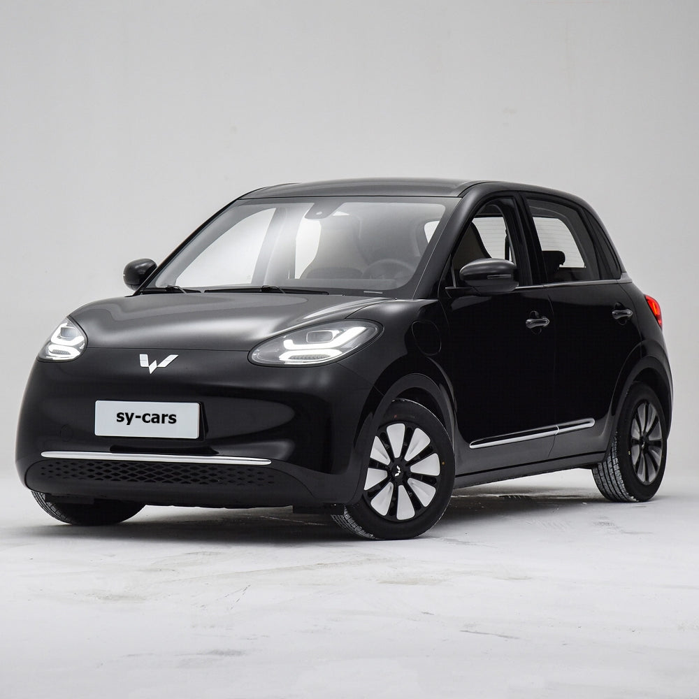 SAIC GM Wuling Bingguo EV BEV CLTC 410km Pure Electric Vehicle Small Sedan 4 Seaters FWD Made in China